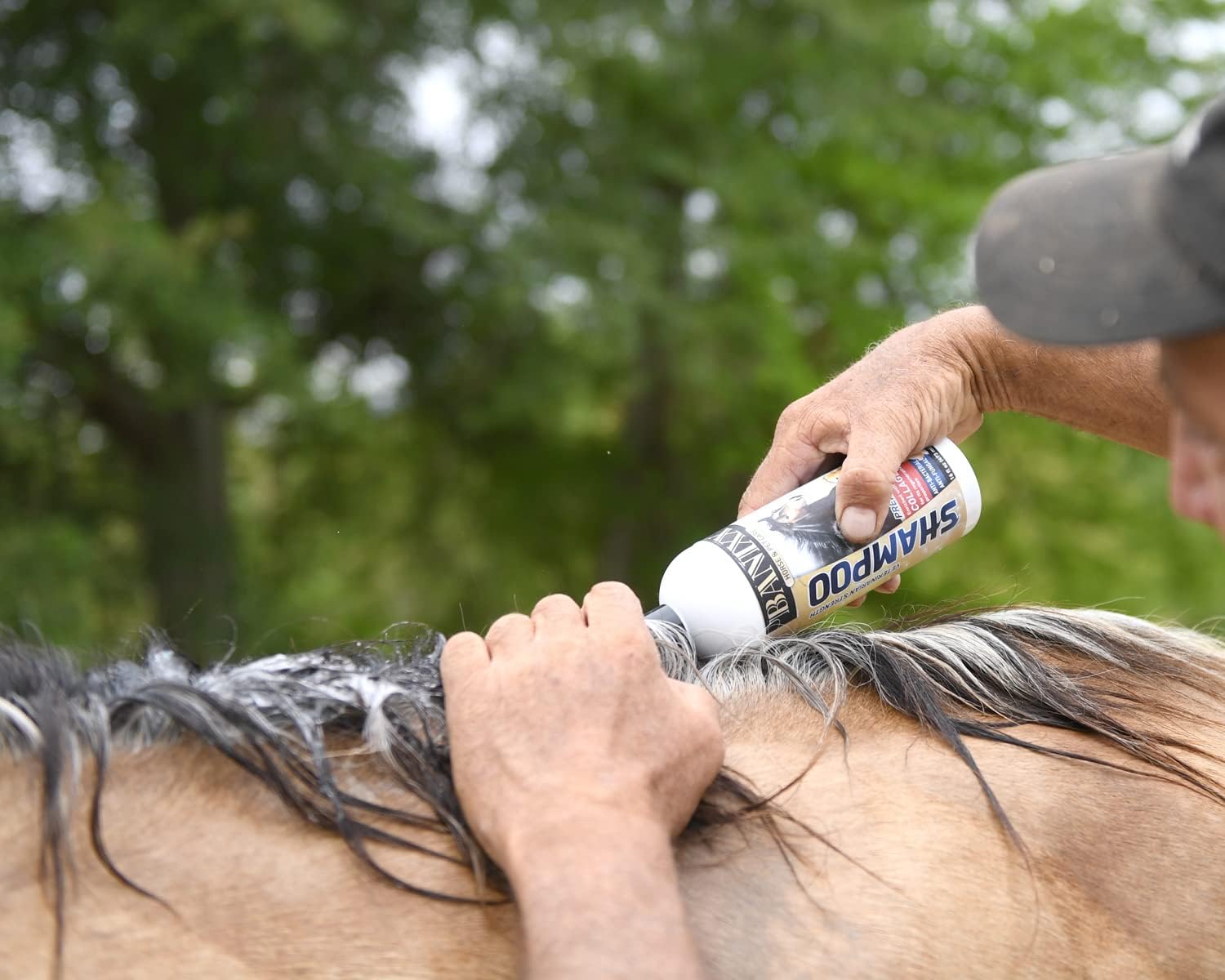 Medicated Shampoo,Soap-Free,for pets - Image 3