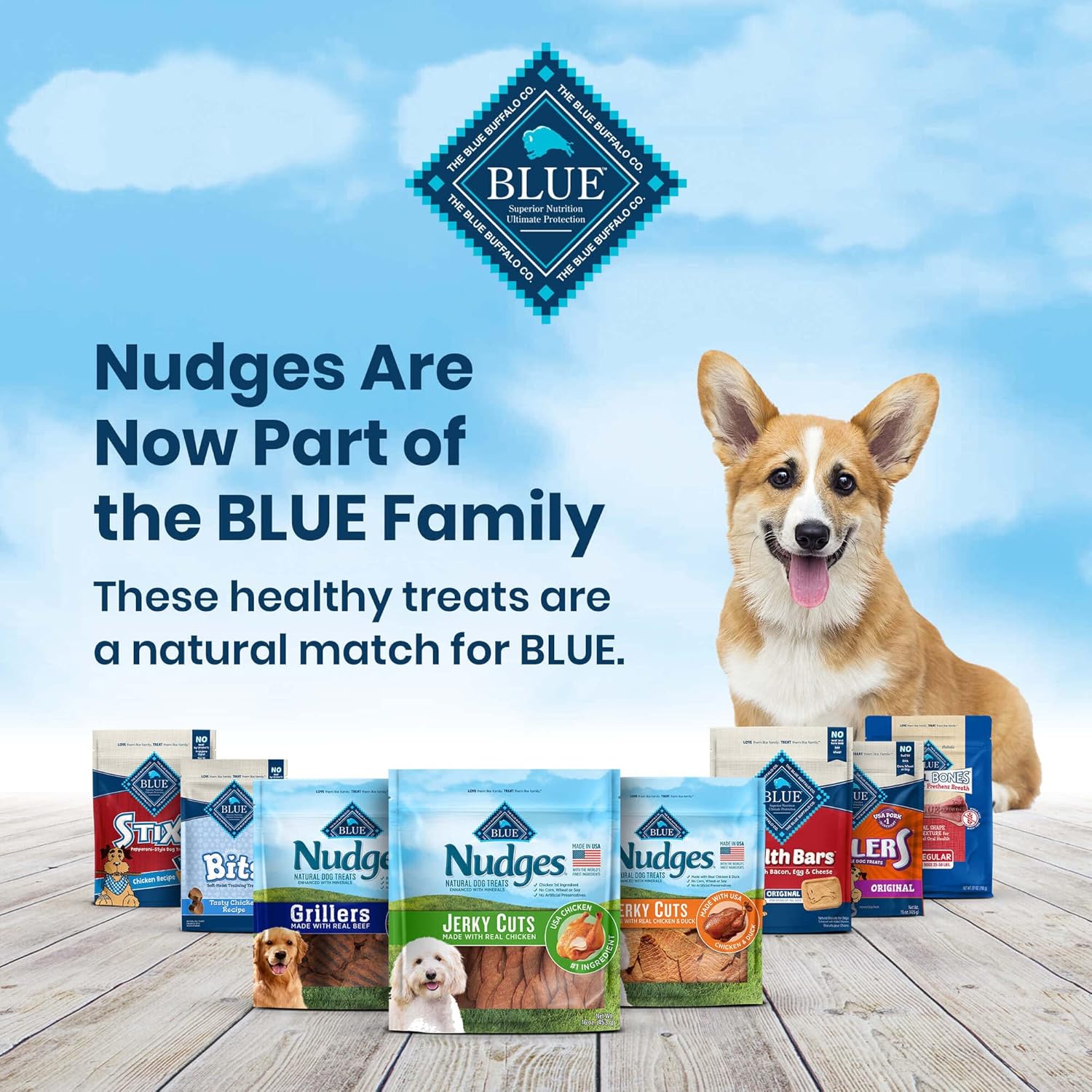 Blue Buffalo Nudges Homestyle Natural Dog Treats, Chicken, 10oz Bag - Image 6