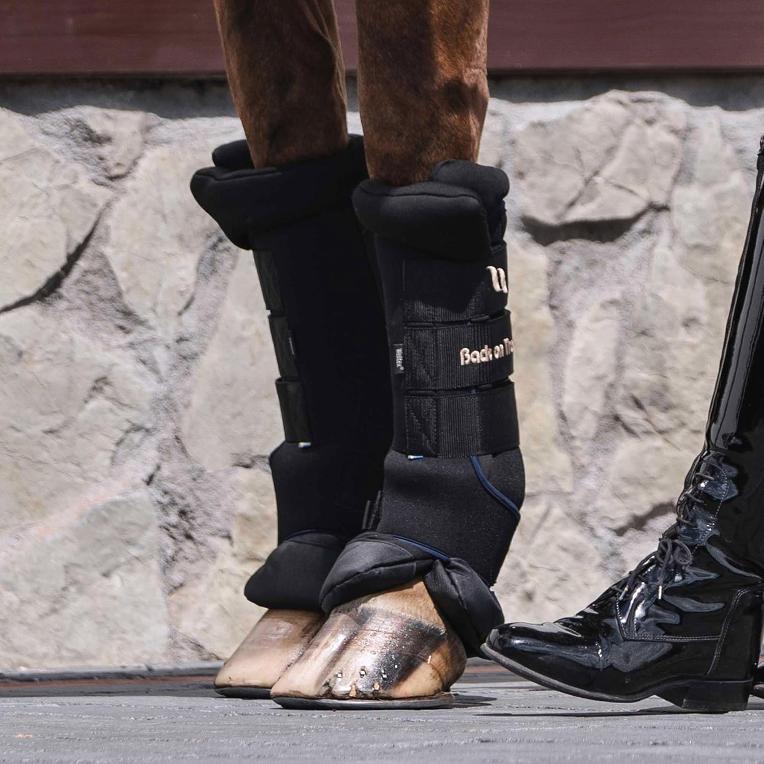 Back on Track Royal Quick Wraps Deluxe, Supportive Protective Horse Leg Wraps - Image 5