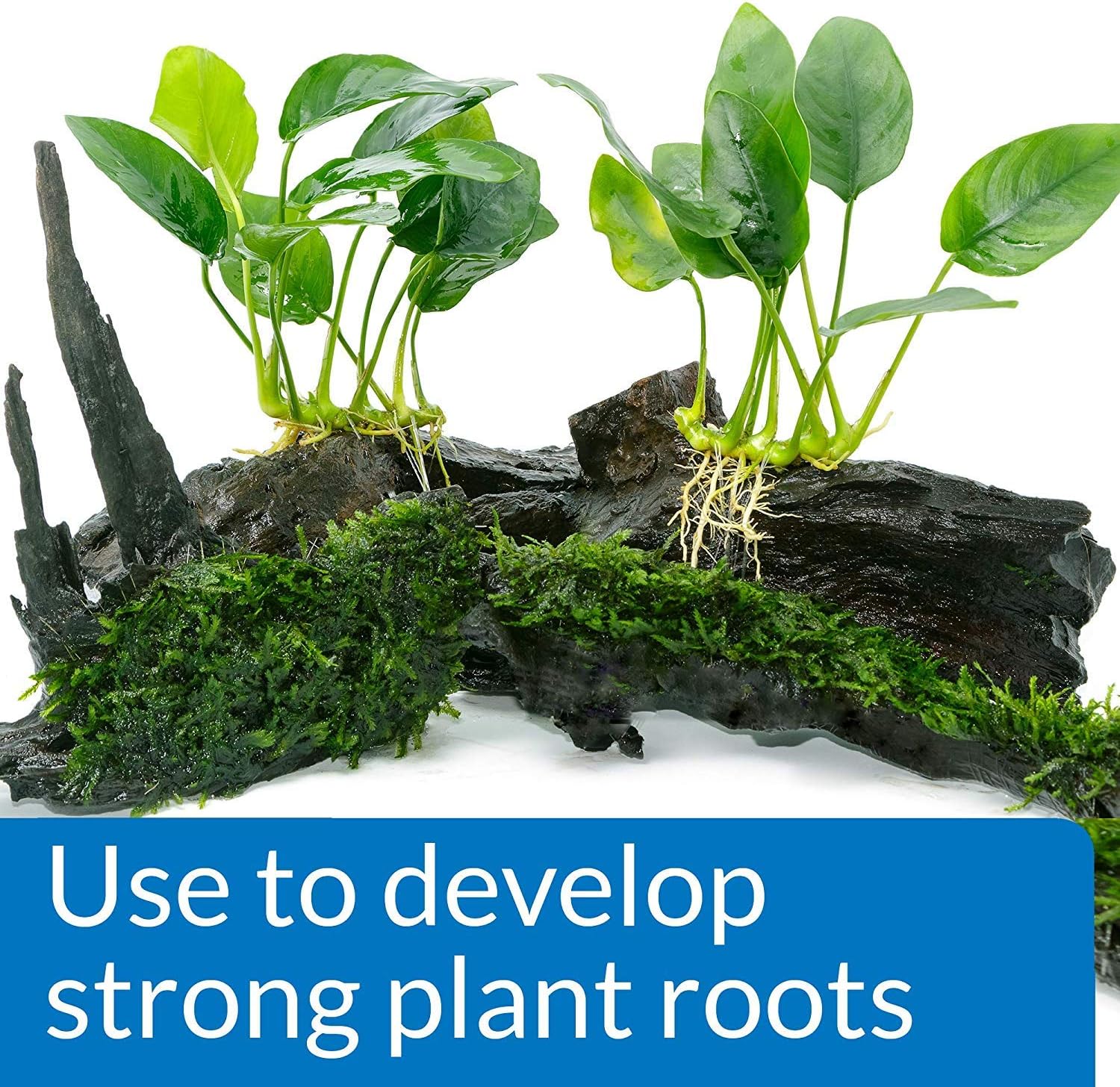 API 3 Pack Root Tabs Freshwater Aquarium Plant Fertilizer - Image 6